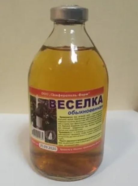 Веселка Гриб